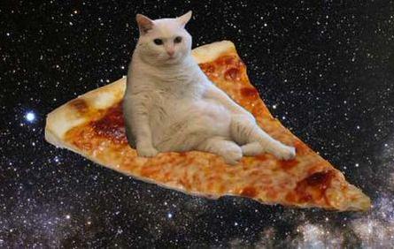 photo of a white cat sitting on a pizza slice in outer space